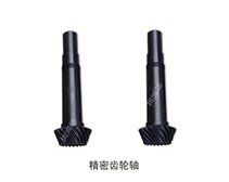 精密齿轮轴